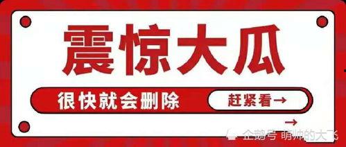 吃瓜娱乐百科大全免费阅读